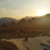 фото из отзыва ID 2244337