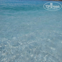 фото из отзыва ID 2244352