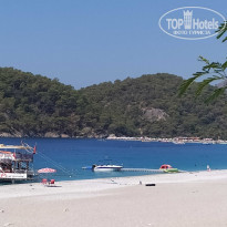 фото из отзыва ID 2244352