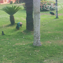 фото из отзыва ID 2244383