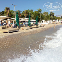 фото из отзыва ID 2244361