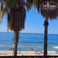 фото из отзыва ID 2244471