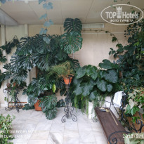 фото из отзыва ID 2244490