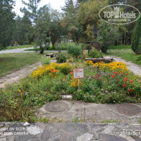 фото из отзыва ID 2244490