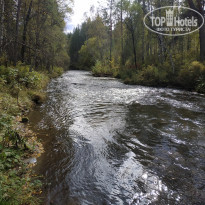 фото из отзыва ID 2244490