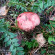фото из отзыва ID 2244490