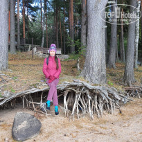 фото из отзыва ID 2244530