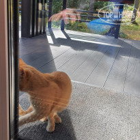 фото из отзыва ID 2244530