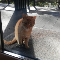 фото из отзыва ID 2244530