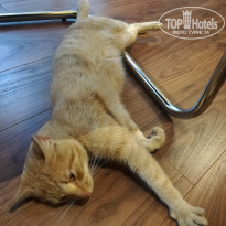 фото из отзыва ID 2244530