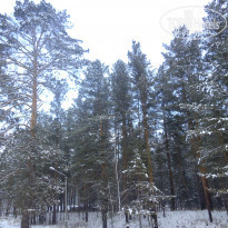 фото из отзыва ID 2244549