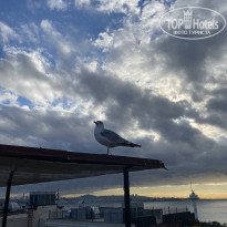 фото из отзыва ID 2244742