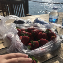 фото из отзыва ID 2244768