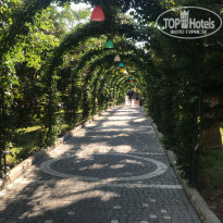 фото из отзыва ID 2244778