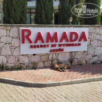 фото из отзыва ID 2243559