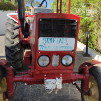 фото из отзыва ID 2244813