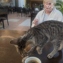 фото из отзыва ID 2244819