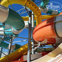 фото из отзыва ID 2244845