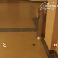 фото из отзыва ID 2244898