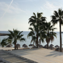 фото из отзыва ID 2245041