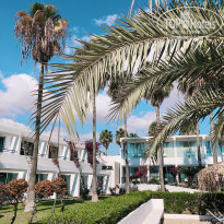 фото из отзыва ID 2245041