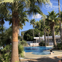 фото из отзыва ID 2245041