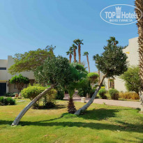 фото из отзыва ID 2244913