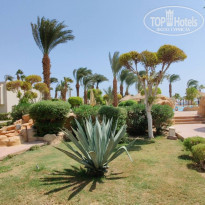 фото из отзыва ID 2244913