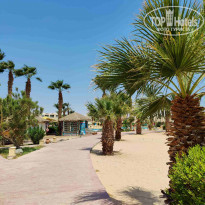 фото из отзыва ID 2244913