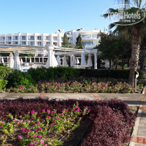 фото из отзыва ID 2245222