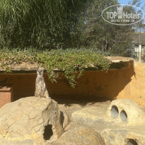 фото из отзыва ID 2245290