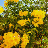 фото из отзыва ID 2245343