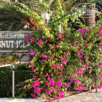 фото из отзыва ID 2245384