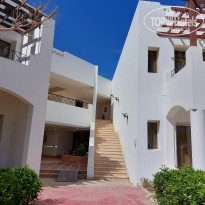 фото из отзыва ID 2245381