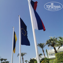 фото из отзыва ID 2245313