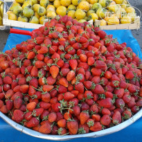 фото из отзыва ID 2245482