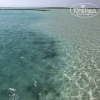 фото из отзыва ID 2245758