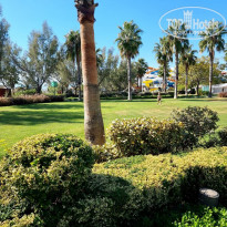 фото из отзыва ID 2245812