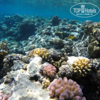 фото из отзыва ID 2245856