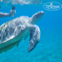 фото из отзыва ID 2245856