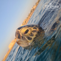 фото из отзыва ID 2245856