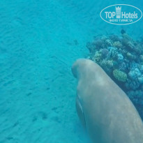 фото из отзыва ID 2245856