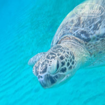 фото из отзыва ID 2245856