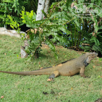 фото из отзыва ID 2245907