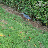 фото из отзыва ID 2245907