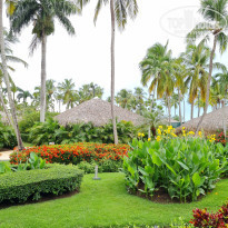 фото из отзыва ID 2245907