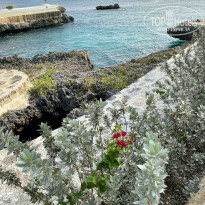 фото из отзыва ID 2245965