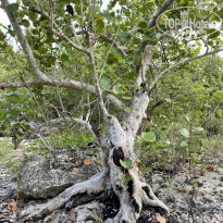 фото из отзыва ID 2245965