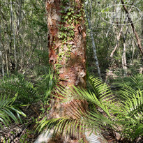 фото из отзыва ID 2245965