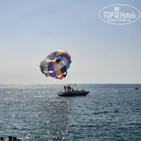 фото из отзыва ID 2245993